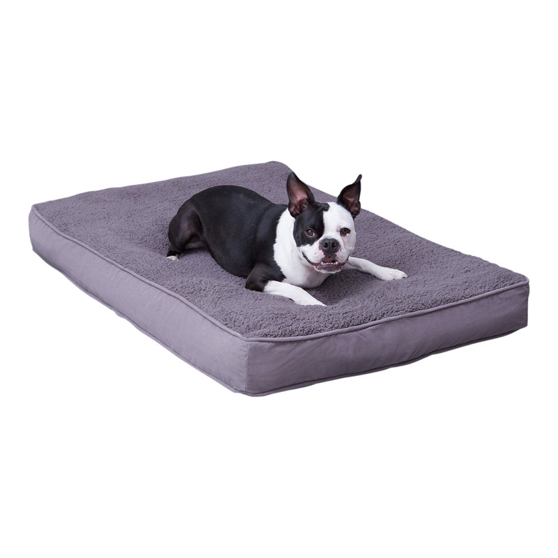 Lit pour chien avec coussin de soutien, Gris, Moyen (l 42 po x P 30 po x H 4 po)