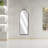 Everlaine Modern Victorian Accent Mirror-270211287