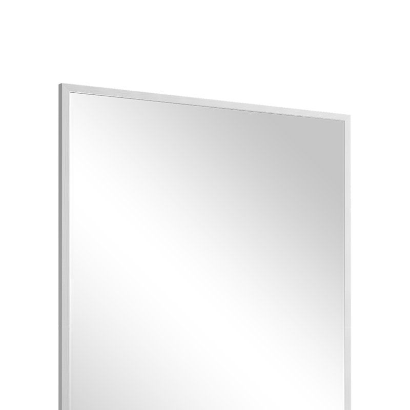 Emma 24"W 36H Bathroom Wall Mirror, Silver