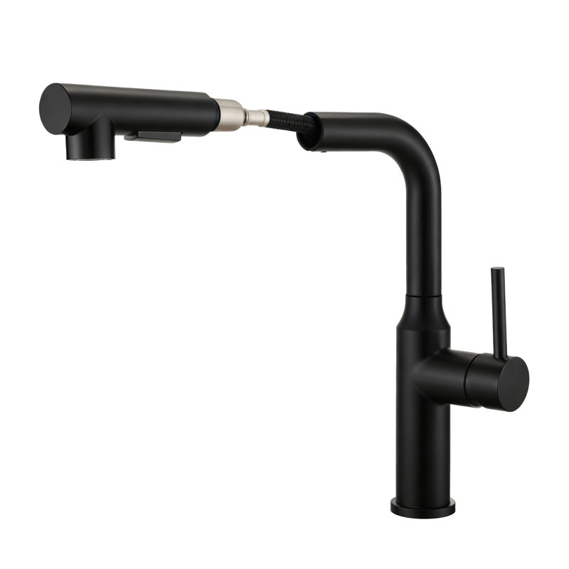 Robinet de cuisine escamotable à une poignée Frank, sans plomb, noir mat, Matte Black
