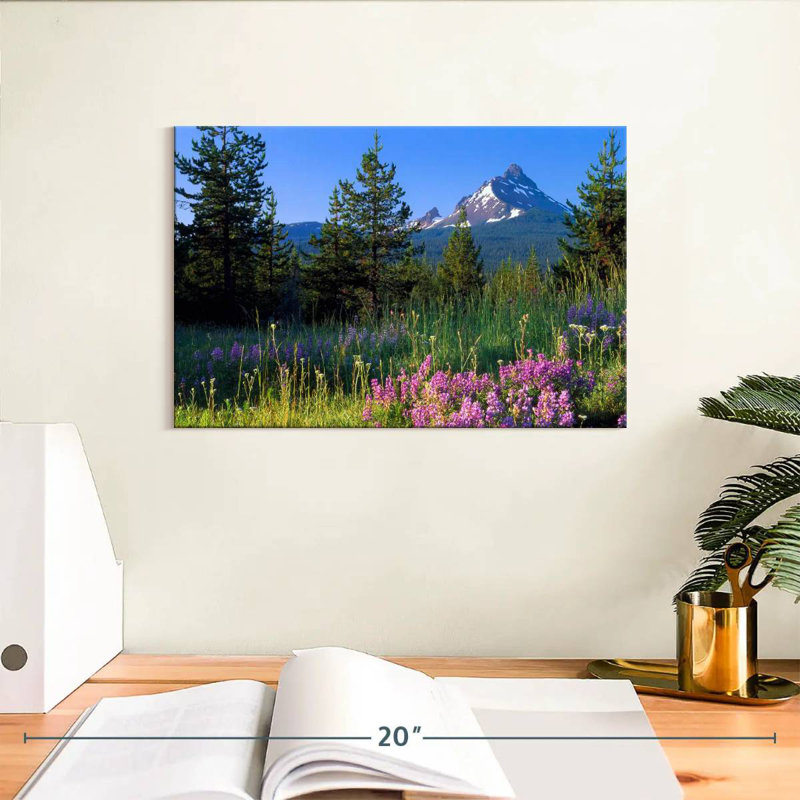Champ de fleurs d'Alvord Mount Washington, H 8 po x l 12 po