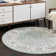 Hilley Oriental Indoor Rug