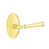 Unlacquered Brass