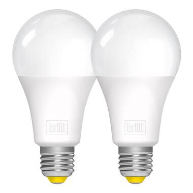 Lampe LED 8W - E27 Globe Standard - 660 Lumens