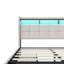 Rishi Upholstered Storage Bed with Drawers-1854995815-1854995816