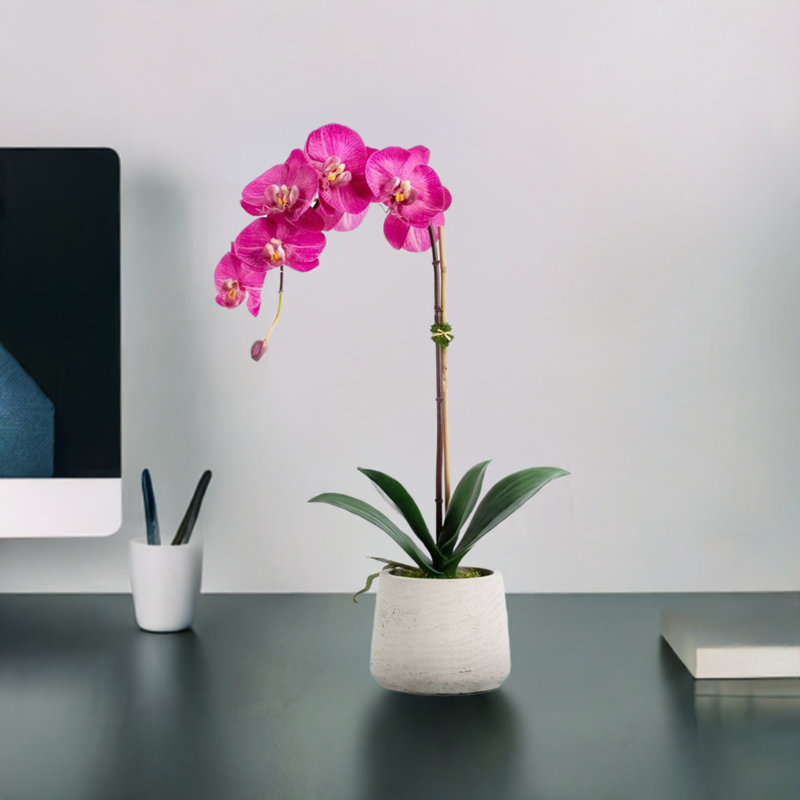 Artificial Orchid Plant, Pink