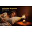 Lampe chauffante à bougie rétro - Chauffe-cire à aromathérapie à minuterie à gradation intelligente, lampe de fusion sécuritaire et écoénergétique, convient à diverses bougies en conserve, cadeau de décoration intérieure chaleureux