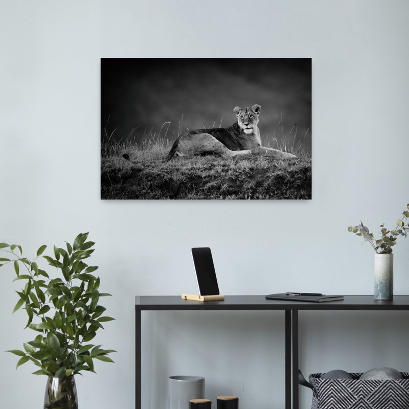 Majestic Lioness Gaze Dramatic Peaceful Serene Cat Lion Nature Portrait Wall Art Print, 40.64cm H x 60.96cm W