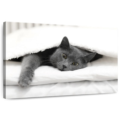 Brampt Lazy Cat