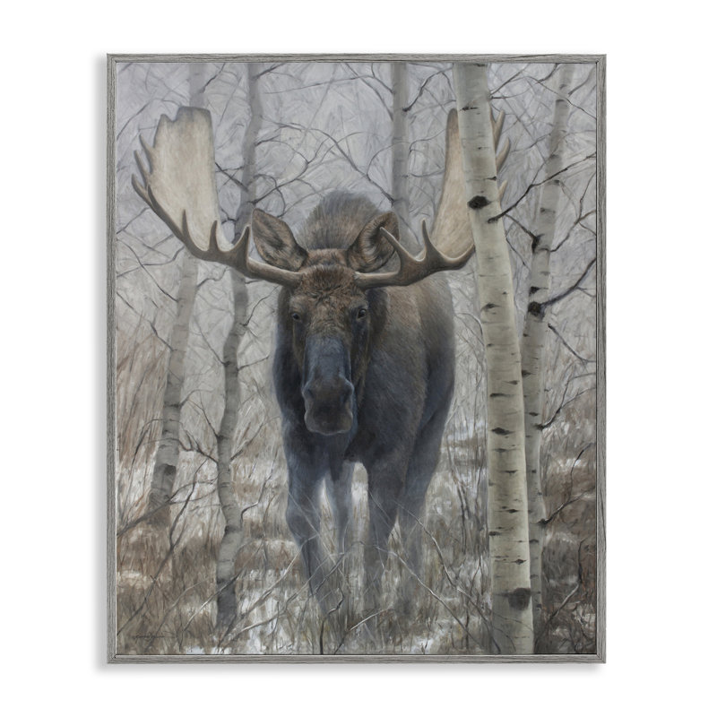 «Moose in Winter Birch Forest», dessin de James Corwin, Estampe numérique Farmhouse, H 20 po x l 16 po