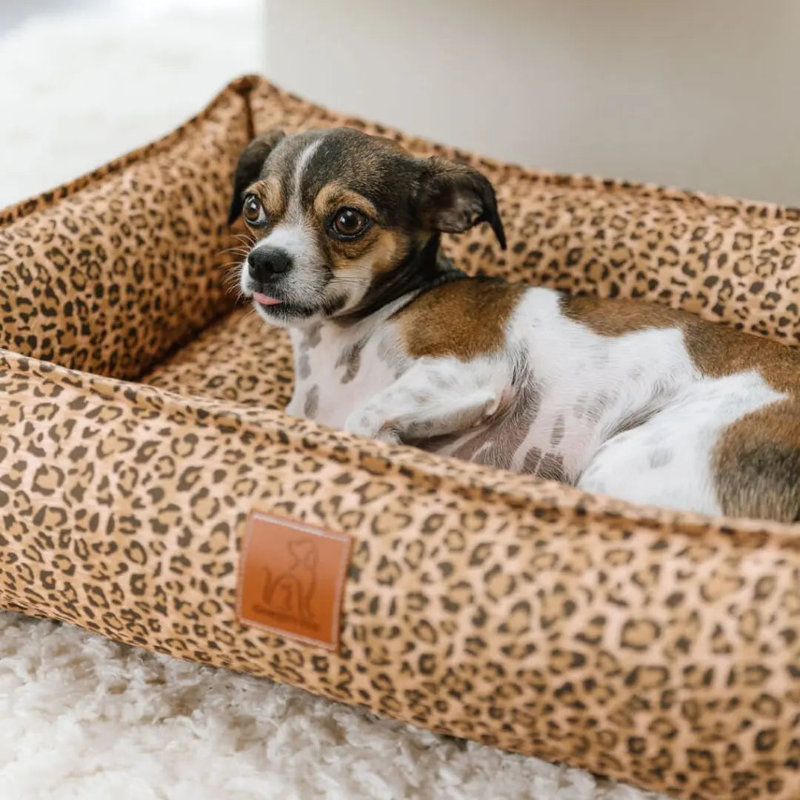 Alena Animal Print Polyester Pet Bed, Small (26" W x 18" D x 5" H)
