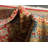 Palazzo Oriental Indoor Rug-40279870