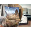 Landscape Throw Pillow-1153348499-1153348495