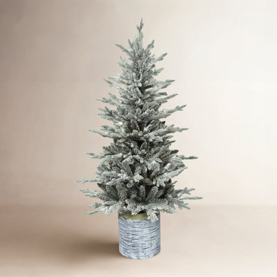 54' Lighted Fir Christmas Tree