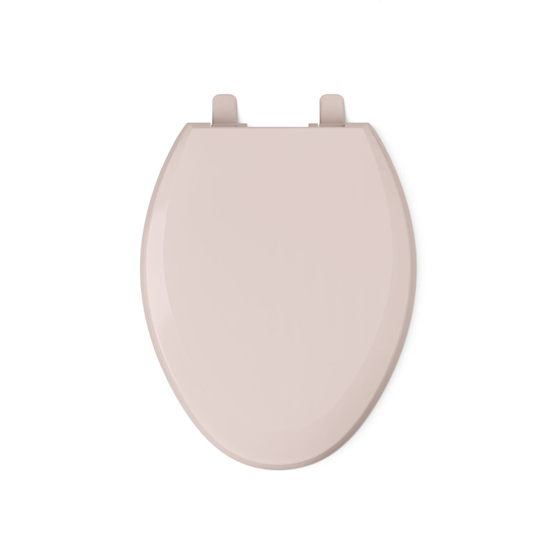 Lustra with Quick-Release Hinges Toilet Seat, Wild Rose, Elongated
