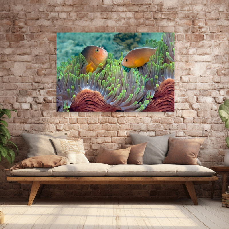 Deux poissons anémone mouffette et anémone de poisson indien, art tropical, H 40 po x l 60 po
