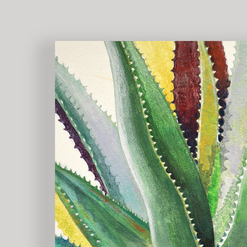 «Brilliant Succulents I / II» par Norman Wyatt Jr. - Ensemble d'impressions sur toile tendue, H 12 po x l 24 po, Toile tendue