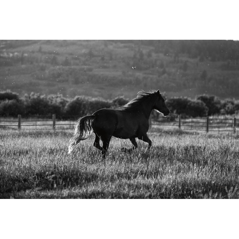 Going Home by Aledanda - Wrapped Canvas Print, 30cm H x 46cm W x 3.8cm D