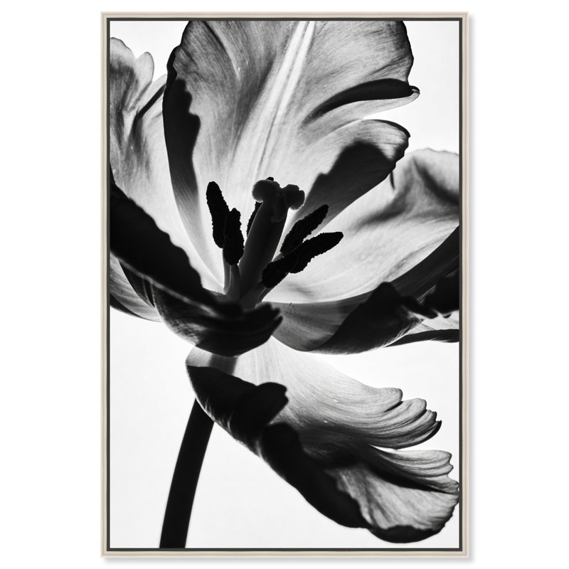 Close Up Silhouette Print by Oliver Gal, 25" H x 17" W, Silver Floater Frame