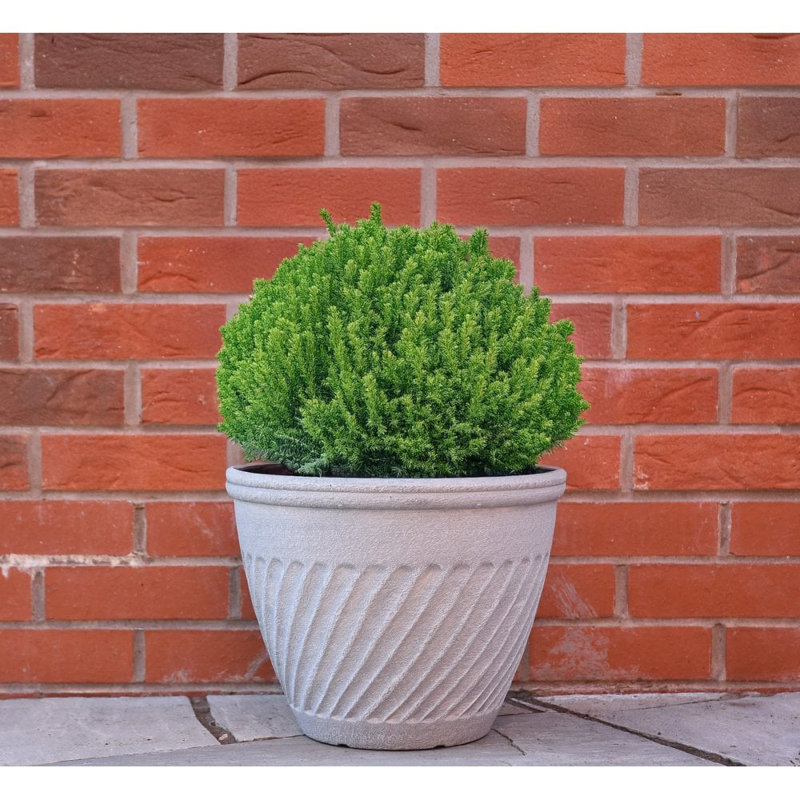 Pot Planter, 31.2cm H x 39.2cm W x 39.2cm D