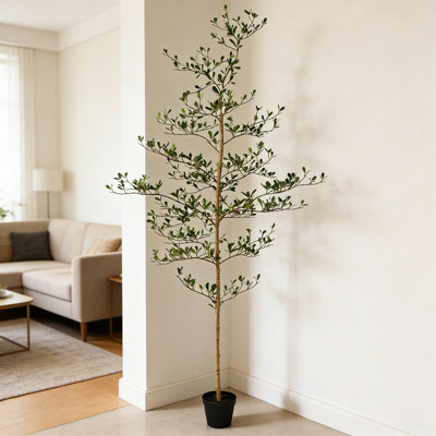 Artificial Black Olive Tree 6FT with Real Wood Trunk & UV Resistant Leaves