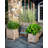Romulus Wood Planter Box-29999220