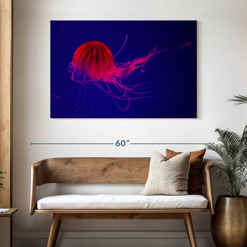 Crowle Red Medusa Jellyfish