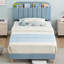2 ensembles de lit plateforme tapissier simple avec tête de lit bibliothèque, base de matelas en velours avec support en acier, bleu