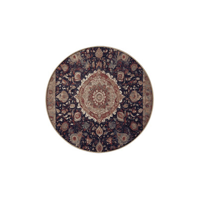 Machine Washable Brown Area Rug