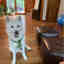 Photos des clients 1 de 1