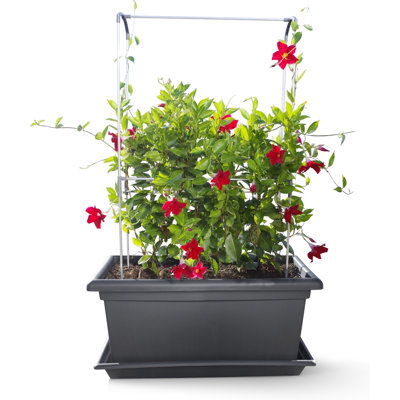 Self-Watering Planter, Flower Pot - Living Wall Kit