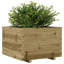 Bhavika Planter Box-1814111142-1814110813