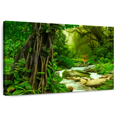 Enchanting Deep Rainforest