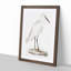 White Heron by John Edward Gray - Picture Frame Painting Print-55575932-55575931