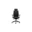 Chaise de travail ergonomique en filet Coda-86303060