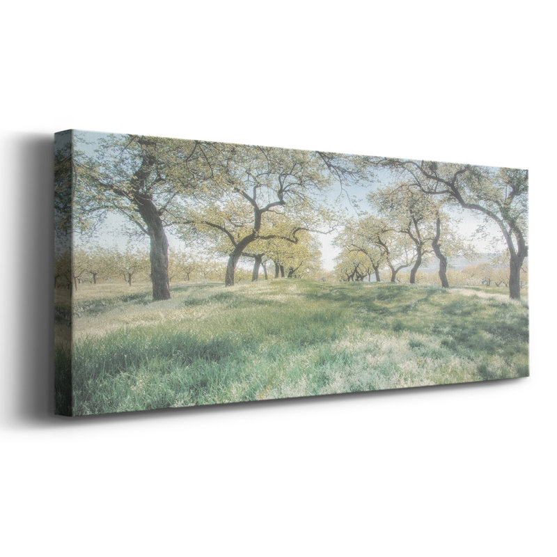 Charmante humeur printanière sur toile, H 12 po x l 30 po x P 1,5 po