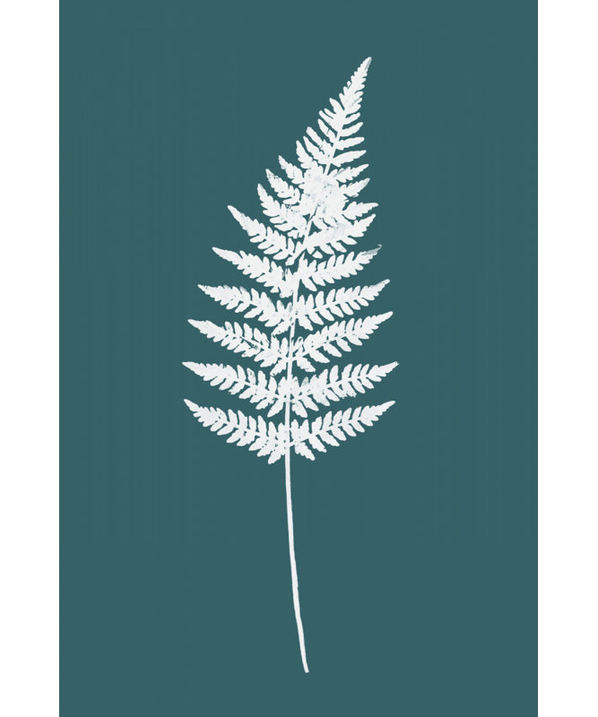 Elegant White Fern by Cartissi — Botanical Wall Art, 32 × 48, Framed Canvas, Gold