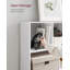 100cm H x 126cm W Standard Bookcase