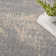 Nourison Essentials Grey Beige Indoor/Outdoor Area Rug