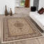 Alarah Oriental Area Rug in Ivory/Brown