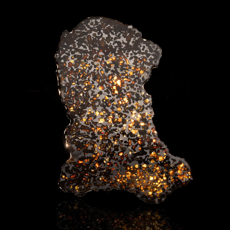 Météorite Sericho Pallasite véritable