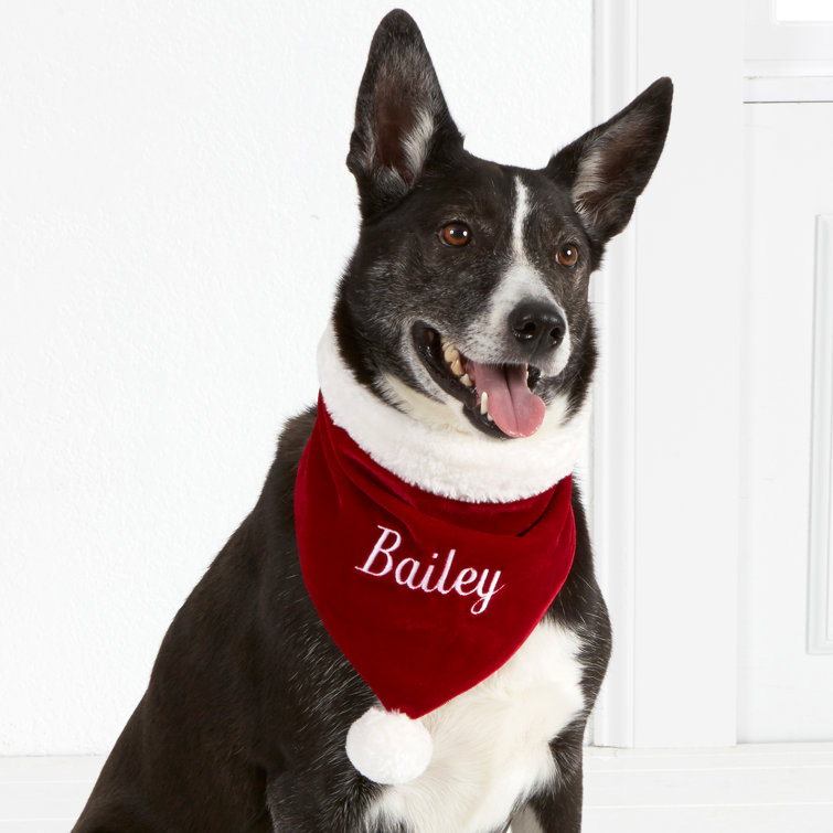 Velvet Dog Collar, Personalised Pet Collar