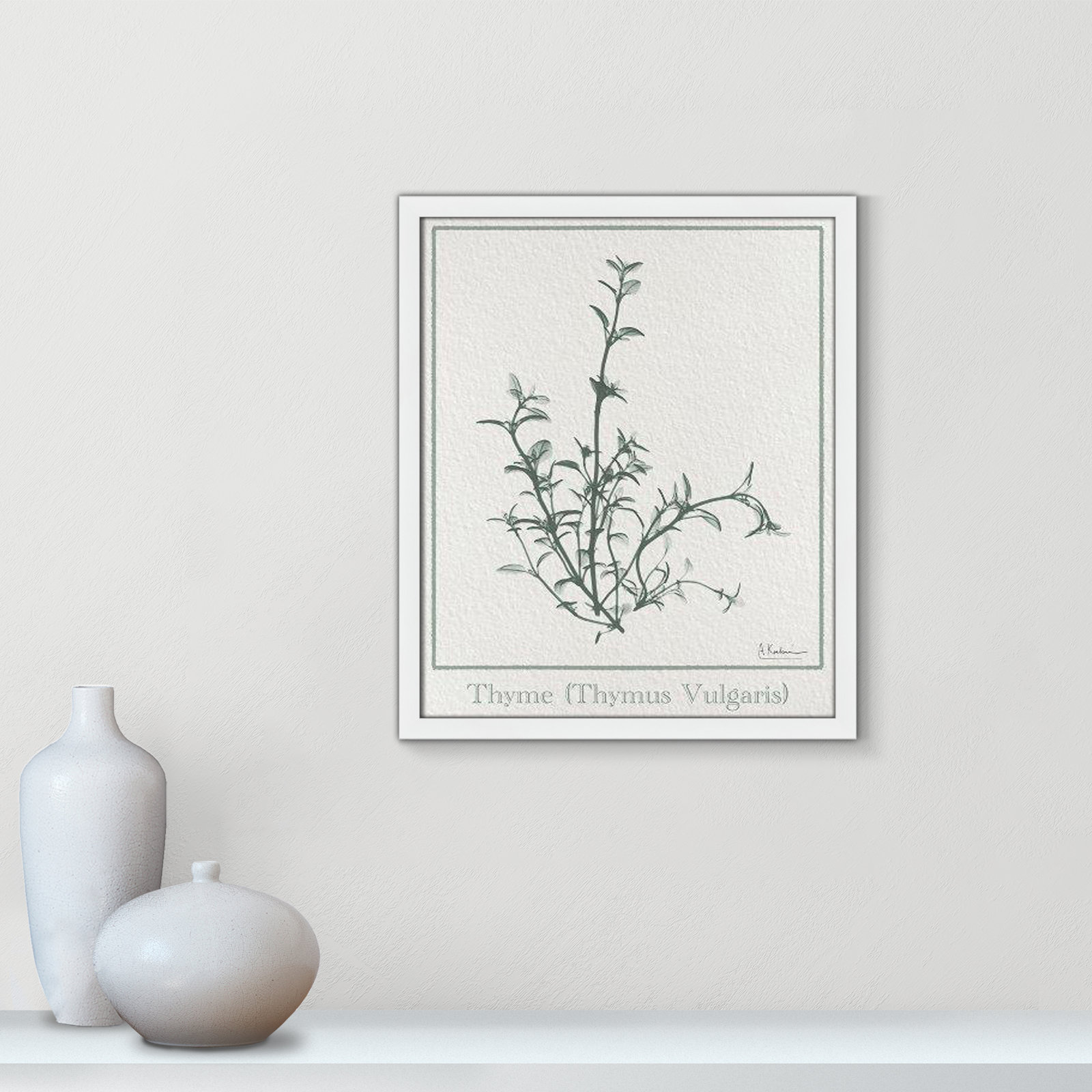 Jeanette "Thymus Vulgaris" Print, 19" H x 16" W x 1.25" D, White Framed Paper