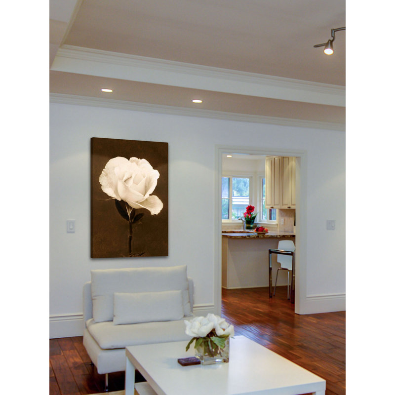 Petals And Perfume by Leda Robertson - Wrapped Canvas Print, 152cm H x 101cm W