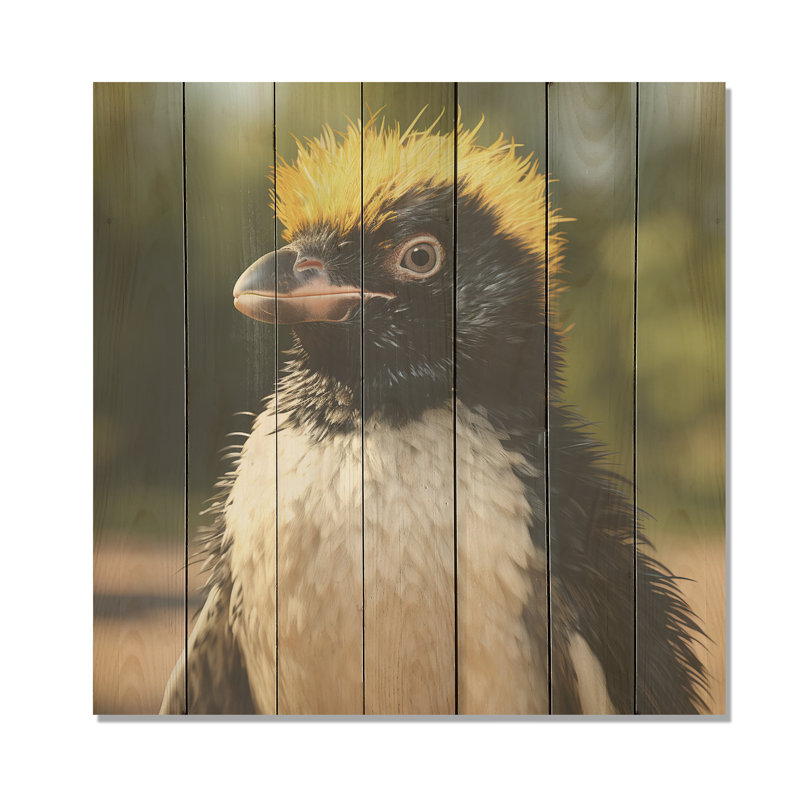 Photo de pingouin - Pingouin sur bois, H 15 po x l 15 po