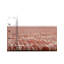 Tapis rouille intérieur / extérieur rouille rouille-1292889847