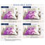 Purple Trendy Printed Bedspread Floral Design Quilted with Pillow Shams-113665262