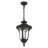 Arelene Outdoor Pendant-555065151-600369744
