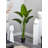 Travelers Palm Tree Artificial Plant