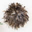 Feather Wall Decor